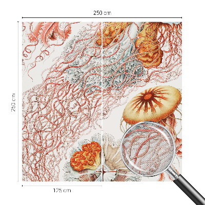 Otroška fototapeta Domiselne meduze