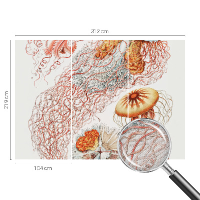 Otroška fototapeta Domiselne meduze