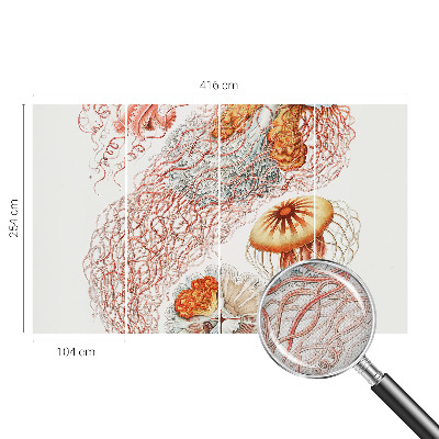 Otroška fototapeta Domiselne meduze