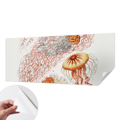 Otroška fototapeta z domiselnim motivom meduz