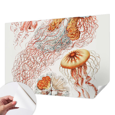 Otroška fototapeta z domiselnim motivom meduz