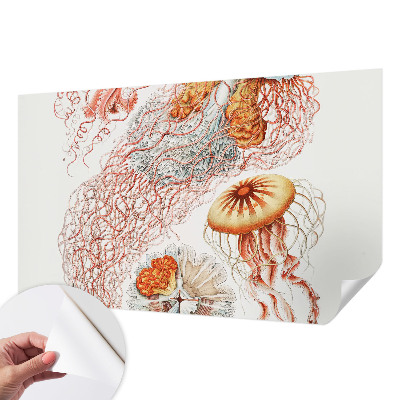 Otroška fototapeta z domiselnim motivom meduz