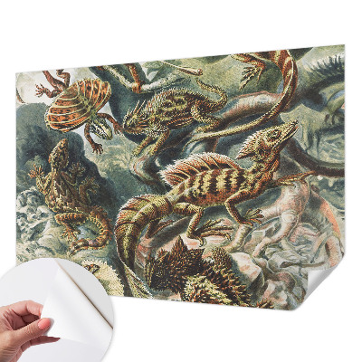 Fototapeta za otroško sobo Eksotični plazilci