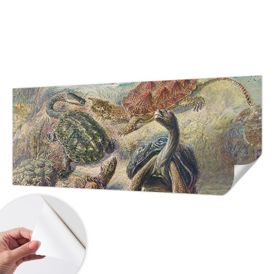 Samolepilna fototapeta za dnevno sobo s motivom favne želv