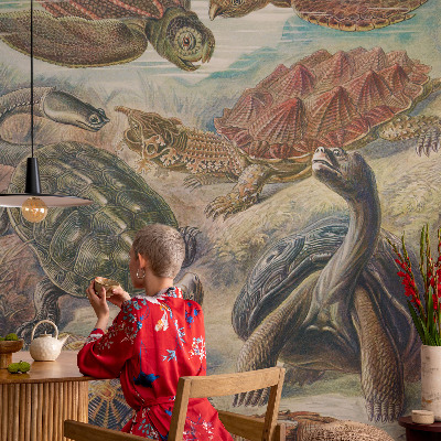 Samolepilna fototapeta za dnevno sobo Favna želv