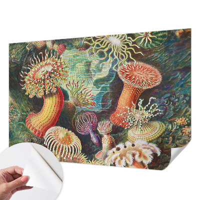 Samolepilna fototapeta z vzorcem domiselnih anemon