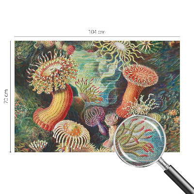 Samolepilna fototapeta Domiselne anemone