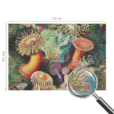 Samolepilna fototapeta z vzorcem domiselnih anemon