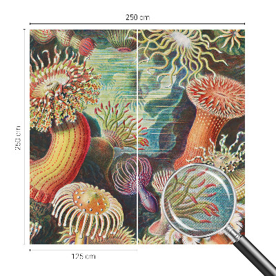 Samolepilna fototapeta Domiselne anemone