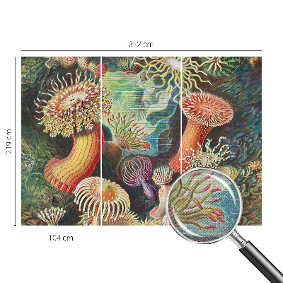 Samolepilna fototapeta Domiselne anemone