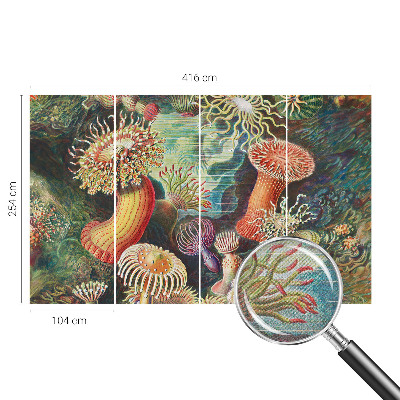 Samolepilna fototapeta Domiselne anemone