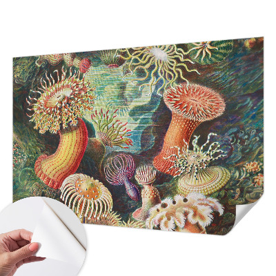 Samolepilna fototapeta z vzorcem domiselnih anemon