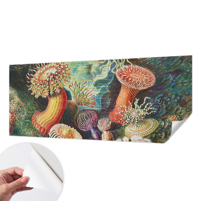 Samolepilna fototapeta z vzorcem domiselnih anemon