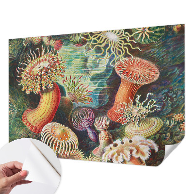 Samolepilna fototapeta z vzorcem domiselnih anemon