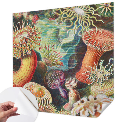 Samolepilna fototapeta Domiselne anemone