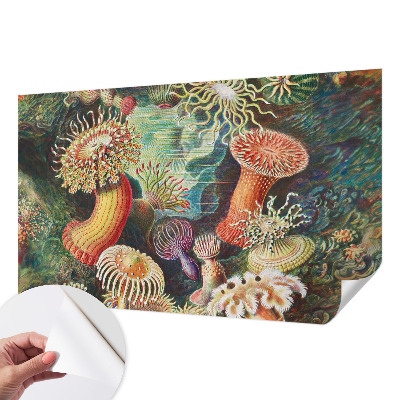 Samolepilna fototapeta z vzorcem domiselnih anemon