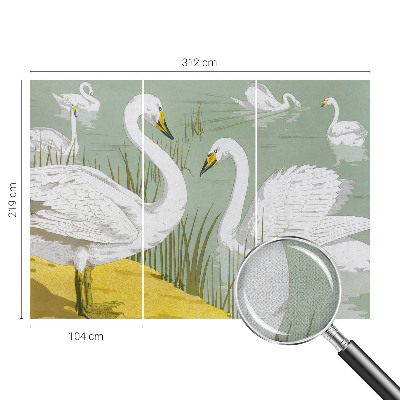 Samolepilna fototapeta za dnevno sobo Labodje jezero