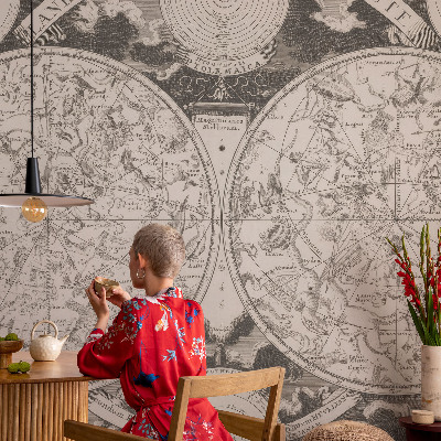 3D fototapeta Zvezdni zemljevid