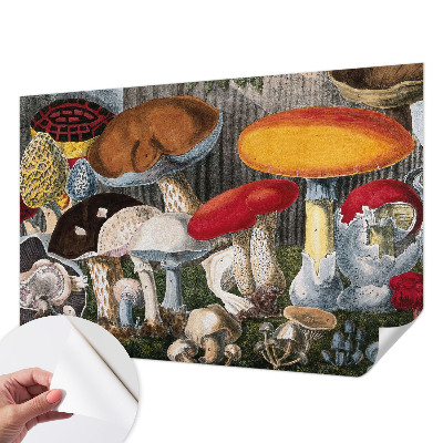 3D fototapeta z motivom botaničnih gob