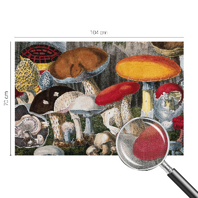 3D fototapeta Botanične gobe