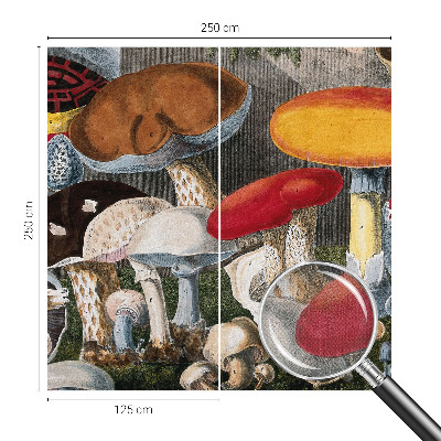 3D fototapeta Botanične gobe