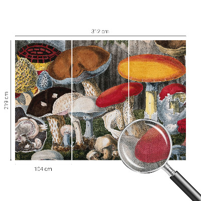 3D fototapeta Botanične gobe