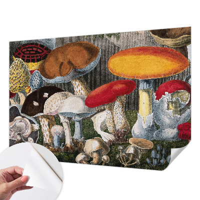 3D fototapeta z motivom botaničnih gob