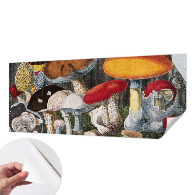 3D fototapeta z motivom botaničnih gob