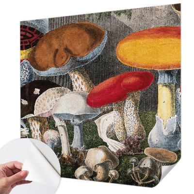 3D fototapeta z motivom botaničnih gob