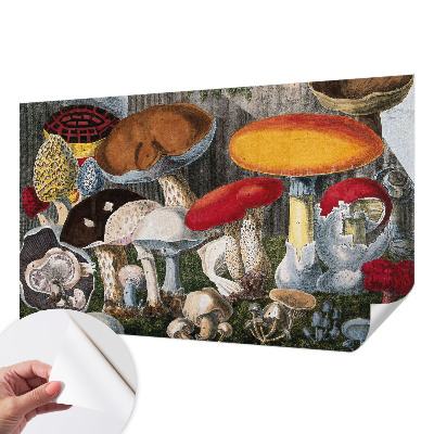 3D fototapeta z motivom botaničnih gob