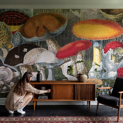 3D fototapeta Botanične gobe