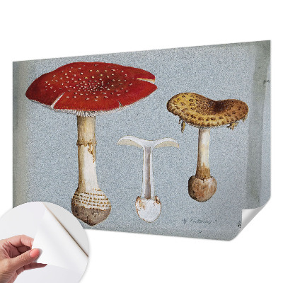 Samolepilna fototapeta z motivom gravure gob