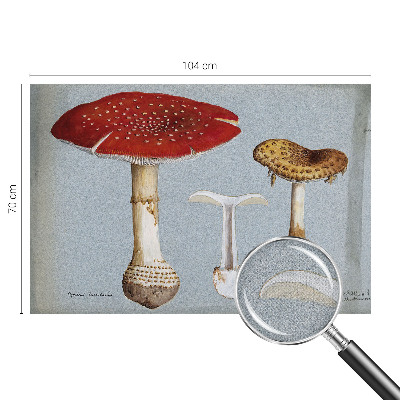 Samolepilna fototapeta z motivom gravure gob