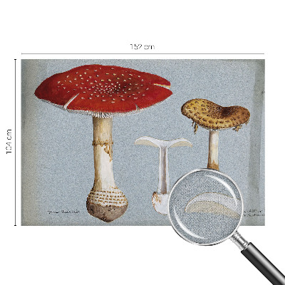 Samolepilna fototapeta z motivom gravure gob