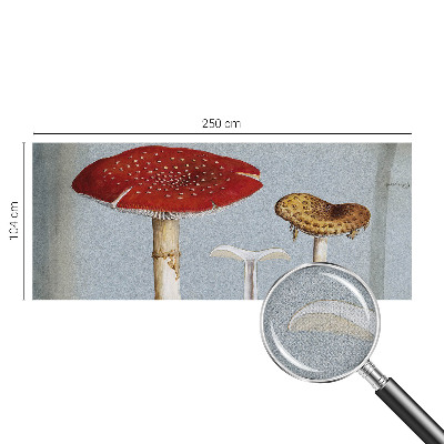 Samolepilna fototapeta z motivom gravure gob