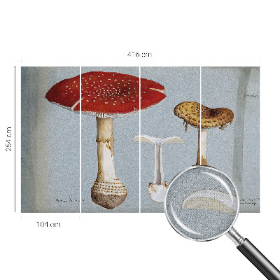 Samolepilna fototapeta z motivom gravure gob