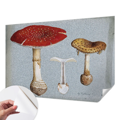 Samolepilna fototapeta z motivom gravure gob