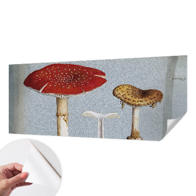 Samolepilna fototapeta z motivom gravure gob