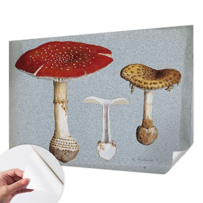 Samolepilna fototapeta z motivom gravure gob