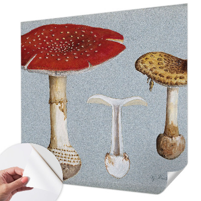 Samolepilna fototapeta z motivom gravure gob