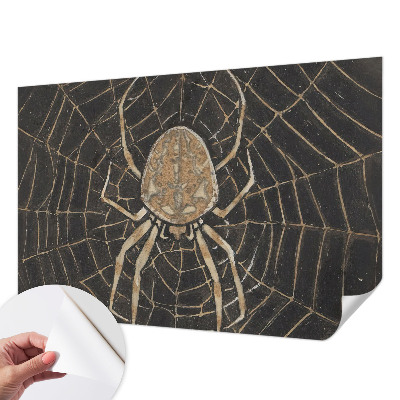 Fototapeta za otroško sobo s potiskom pajkove mreže