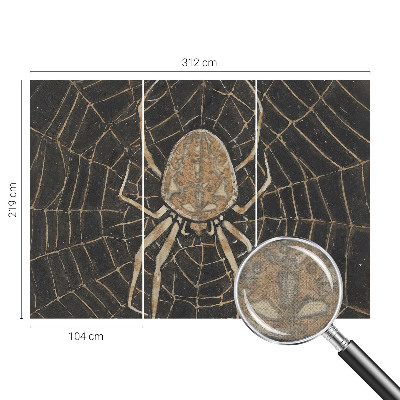 Fototapeta za otroško sobo Pajkova mreža