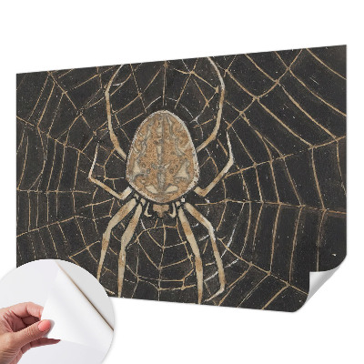 Fototapeta za otroško sobo s potiskom pajkove mreže