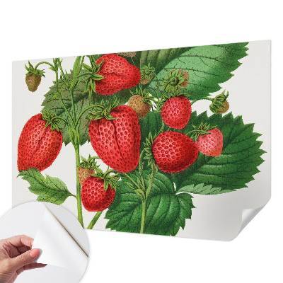 Samolepilna fototapeta za dnevno sobo z motivom poletnega sadja