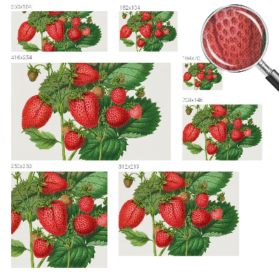 Samolepilna fototapeta za dnevno sobo Poletno sadje