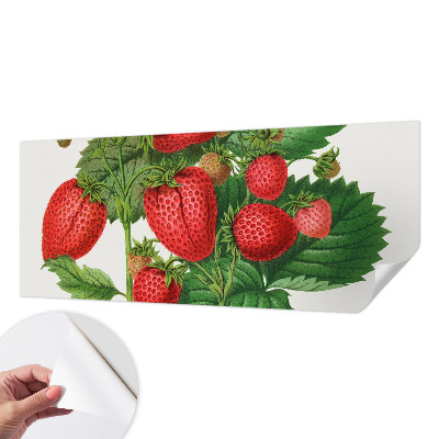 Samolepilna fototapeta za dnevno sobo z motivom poletnega sadja