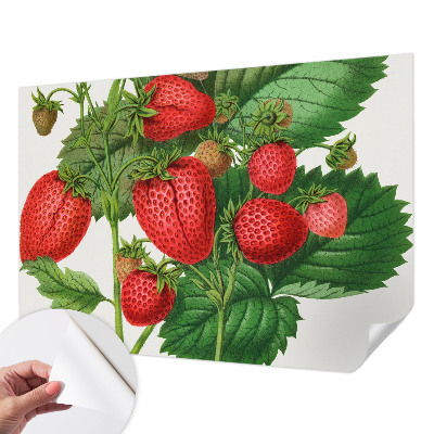 Samolepilna fototapeta za dnevno sobo z motivom poletnega sadja