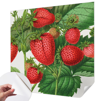 Samolepilna fototapeta za dnevno sobo z motivom poletnega sadja