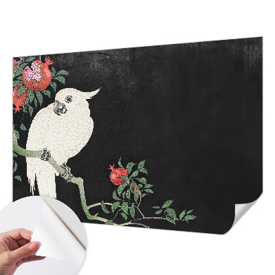 Samolepilna fototapeta za dnevno sobo Papiga iz granatnega jabolka