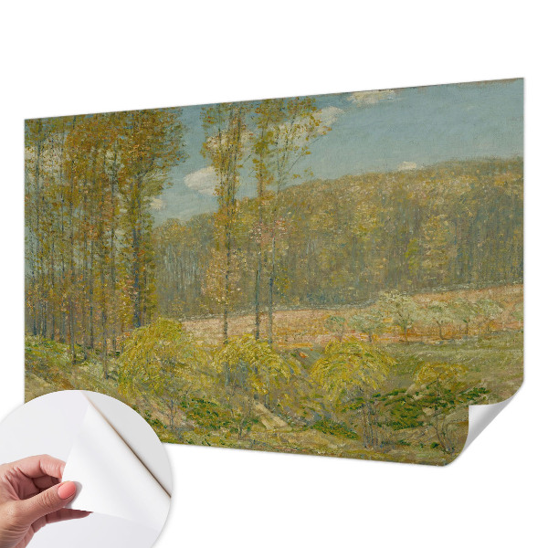 3D fototapeta z motivom gozdne pokrajine